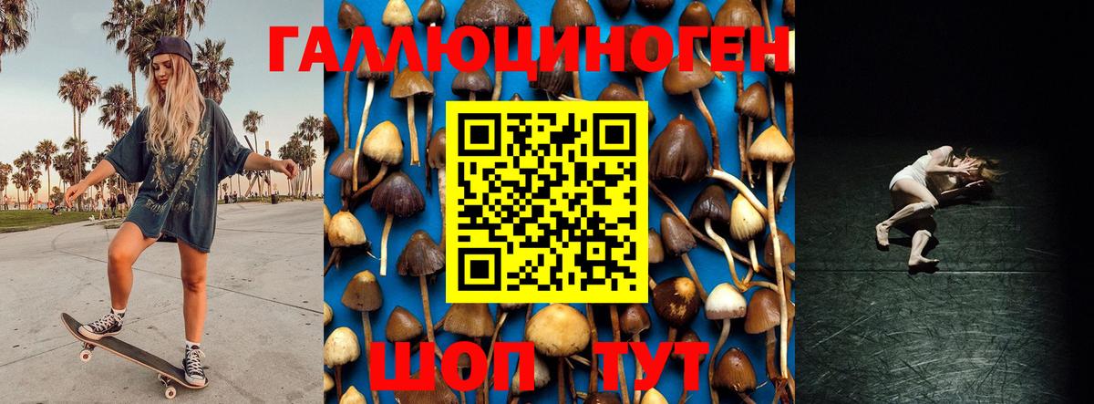Галлюциногенные грибы GOLDEN TEACHER  Вход с VPN  Галлюциногенные грибы Magic Shrooms  как найти закладки  Воскресенск 