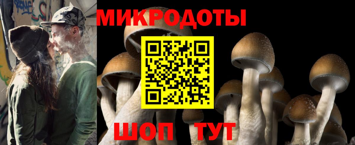 Псилоцибиновые грибы прущие грибы Воскресенск